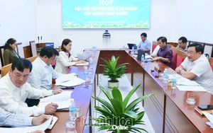 Trình phương án sắp xếp đơn vị sự nghiệp nông nghiệp