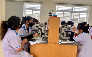 Rà soát, sắp xếp đơn vị sự nghiệp, kiên quyết cơ cấu lại, giải thể những đơn vị hoạt động không hiệu quả