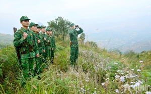 Hướng dẫn tổ chức Phong trào thi đua “Toàn dân bảo vệ an ninh Tổ quốc” trong Quân đội