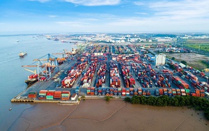 MẪU GIẤY PHÉP xuống tàu