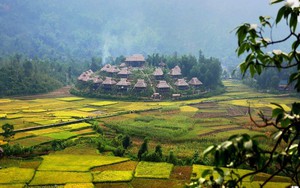 Đề xuất điều kiện hưởng chính sách ưu đãi với các dự án du lịch động lực