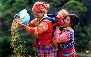 Toàn văn dự thảo Nghị định về Công tác dân tộc