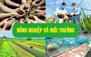Dự thảo Nghị định Sửa đổi, bổ sung một số điều của các nghị định lĩnh vực nông nghiệp và môi trường