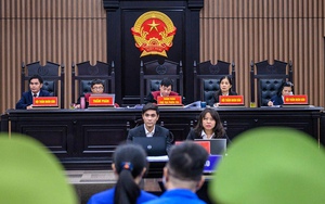 Điều kiện của các ngạch Thẩm tra viên Tòa án