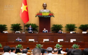 Sửa Luật Nhà ở: Phát triển nhà ở cho thuê; miễn tiền thuê nhà ở công vụ;...