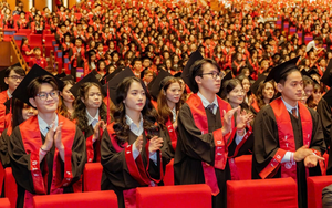 Đề xuất nhân tài được đồng thời thực hiện nhiệm vụ tại nhiều cơ quan, tổ chức, doanh nghiệp; ưu đãi về thuế