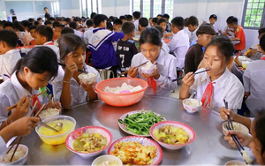 Đề xuất chính sách ăn trưa với học sinh tiểu học và trung học cơ sở vùng đồng bào dân tộc thiểu số và miền núi