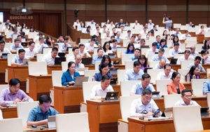 Sửa Bộ luật Hình sự: Đề xuất xác lập một chính sách khoan hồng riêng với người tự nguyện nhận tội
