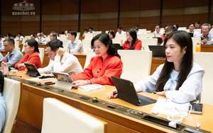 Sửa Luật Chứng khoán: Làm rõ tiêu chuẩn người đại diện công ty chứng khoán, công ty quản lý quỹ