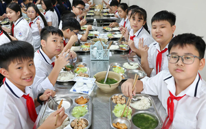 TOÀN VĂN: Dự thảo Thông tư quy định về tổ chức bữa ăn nội trú, bán trú, dịch vụ căng tin trong cơ sở giáo dục mầm non, cơ sở giáo dục phổ thông