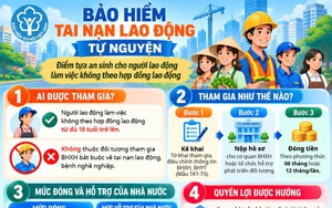 Những điều cần biết về bảo hiểm tai nạn lao động tự nguyện