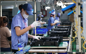 Quy trình chuyển đơn vị sự nghiệp thành Công ty TNHH MTV do Nhà nước nắm 100% vốn điều lệ