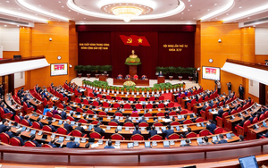 Hội nghị Trung ương 4 thảo luận chiến lược thu hút, trọng dụng nhân tài; công tác kiểm tra, giám sát, kỷ luật của Đảng...
