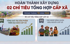 Hoàn thành xây dựng 02 chỉ tiêu tổng hợp cấp xã trong tháng 10/2026