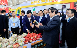 HỘI CHỢ MÙA XUÂN lần thứ nhất năm 2026: 'KẾT NỐI THỊNH VƯỢNG - ĐÓN XUÂN HUY HOÀNG'