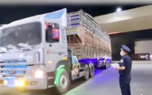 TẠM NGƯNG HIỆU LỰC NGHỊ ĐỊNH SỐ 46/2026/NĐ-CP: Khẩn trương thông quan thực phẩm nhập khẩu