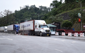 TOÀN VĂN: Nghị quyết 09/2026/NĐ-CP về tạm ngưng Nghị định 46/2026/NĐ-CP hướng dẫn thi hành Luật An toàn thực phẩm