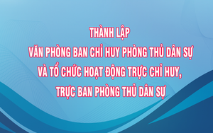 Thành lập Văn phòng Ban Chỉ huy Phòng thủ dân sự