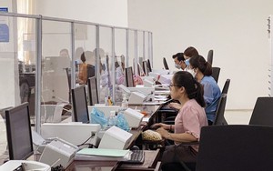 Phương án sắp xếp các Ban Quản lý; Trường đại học, cao đẳng; Trung tâm phát triển quỹ đất