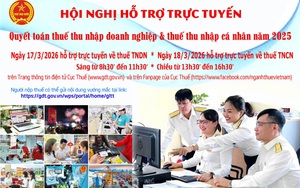 Hỗ trợ trực tuyến quyết toán thuế năm 2025