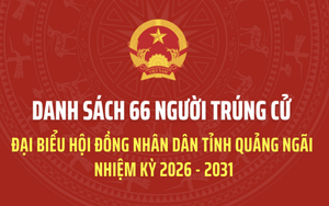 Danh sách trúng cử đại biểu HĐND tỉnh Quảng Ngãi  nhiệm kỳ 2026 - 2031