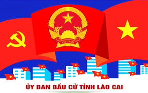 Danh sách trúng cử đại biểu HĐND tỉnh Lào Cai nhiệm kỳ 2026 - 2031