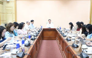 Đẩy nhanh hoàn thiện Nghị định hướng dẫn Luật Dân số