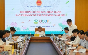 Công nhận 40 sản phẩm OCOP 5 sao