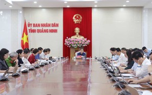 Phương án sắp xếp, sáp nhập, hợp nhất, giải thể, tổ chức lại các đơn vị thuộc UBND tỉnh Quảng Ninh
