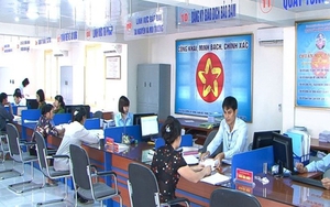 Khẩn trương triển khai các Nghị quyết của Chính phủ về cắt giảm, đơn giản hóa thủ tục hành chính, điều kiện kinh doanh