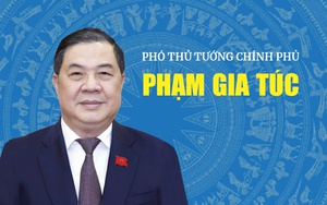 TIỂU SỬ ĐỒNG CHÍ PHẠM GIA TÚC, PHÓ THỦ TƯỚNG CHÍNH PHỦ, NHIỆM KỲ 2026-2031
