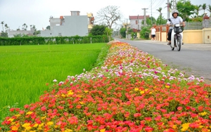 TOÀN VĂN: Quyết định 417/QĐ-BNNMT về xây dựng nông thôn mới, phát triển kinh tế - xã hội