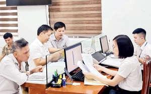 Dự kiến những vị trí công tác thuộc lĩnh vực nông nghiệp và môi trường phải định kỳ chuyển đổi