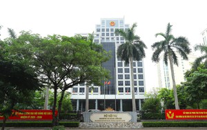 Bộ Nội vụ chỉ đạo rà soát, sắp xếp, thực hiện tự chủ đối với đơn vị sự nghiệp, trường học, cơ sở giáo dục, y tế cấp tỉnh, cấp xã