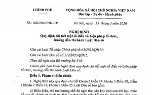 TOÀN VĂN: Nghị định 168/2026/NĐ-CP quy định chi tiết một số điều và biện pháp tổ chức, hướng dẫn thi hành Luật Dân số