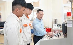 Quy định hợp đồng lao động đối với giảng viên đồng cơ hữu