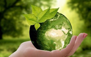 TOÀN VĂN: Dự thảo Luật sửa đổi, bổ sung một số điều của Luật Bảo vệ môi trường