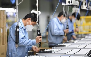 TOÀN VĂN: Dự thảo Nghị quyết về cắt giảm ngành, nghề đầu tư kinh doanh có điều kiện