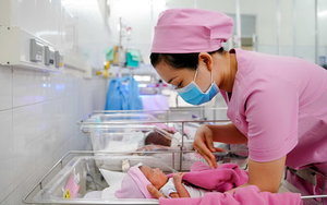 Phát triển câu lạc bộ kết bạn trăm năm; hỗ trợ nam, nữ thanh niên kết bạn bảo đảm mức sinh thay thế