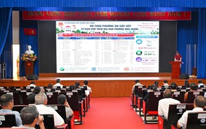 Khẩn trương sắp xếp, thành lập mới các chi bộ; kiện toàn nhân sự thôn, tổ dân phố
