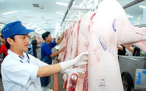Văn bản hợp nhất 67/VBHN-BNNMT Quy định về kiểm dịch động vật, sản phẩm động vật trên cạn