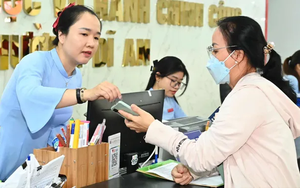 TP Hồ Chí Minh ban hành vị trí việc làm công chức, viên chức