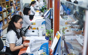 Quy định bậc nghề nghiệp áp dụng lương viên chức