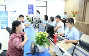 Thời điểm, trình tự, thủ tục xếp loại chất lượng viên chức