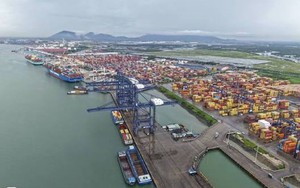 Thành lập Khu Thương mại tự do thành phố Hồ Chí Minh