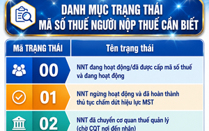 Danh mục trạng thái mã số thuế người nộp thuế cần biết