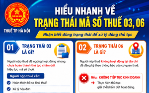 Hiểu nhanh về trạng thái mã số thuế 03, 06