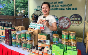 Hướng dẫn thủ tục đánh giá, phân hạng sản phẩm OCOP