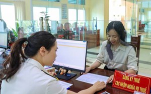 Nghị định 252/2026/NĐ-CP: Những lưu ý chi nhánh, văn phòng đại diện của công ty nước ngoài hoạt động tại Việt Nam
