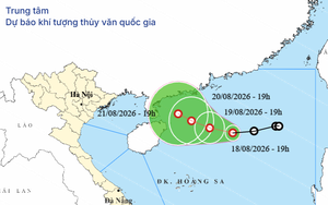 Tin ÁP THẤP NHIỆT ĐỚI, CẢNH BÁO MƯA LỚN, LŨ QUÉT, SẠT LỞ ĐẤT và các chỉ đạo ứng phó